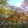 Bicycles in front of fall trees at Campus North