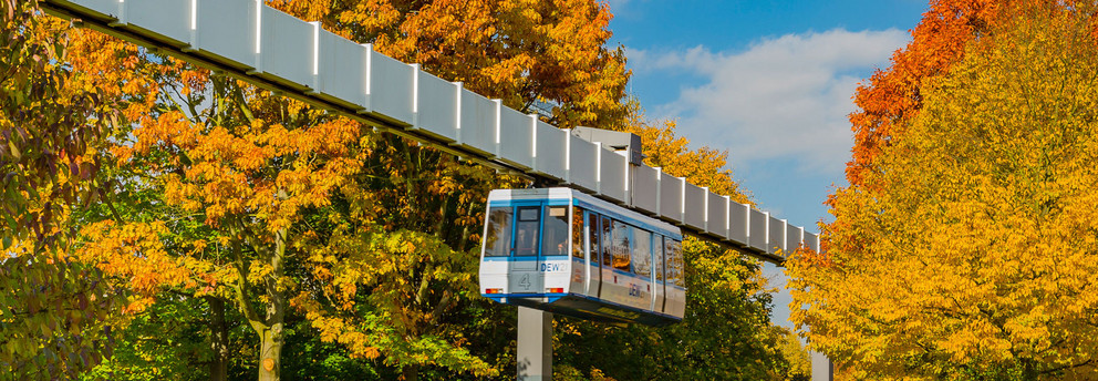 H-Bahn und Bäume mit bunten Blättern im Herbst